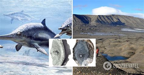 Scientists Have Found The Remains Of An Ichthyosaur An Animal Older