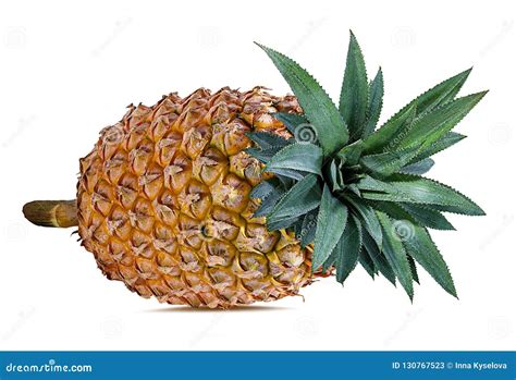 Fresh Pineapple Isolated On White Stock Image Image Of Path Food