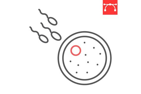 Sperm Fertilizing Egg Cell Line Icon Graphic By Fox Design · Creative Fabrica