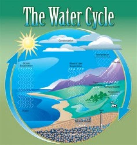 A cyclic graph has cycles meaning you can start from some node and follow a path such that you arrive at the same node you began. Hydrologic Cycle - Water Education Foundation