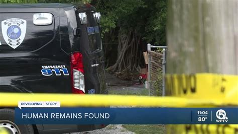 Human Remains Found In Empty Lot In West Palm Beach Youtube
