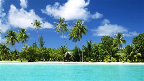 Тропический остров пляжморе океан вода песок пальмы обои для