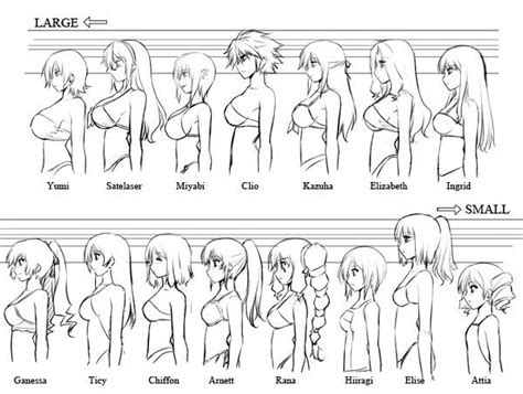 Body Types Bust Sizes In Anime Pt Anime Amino