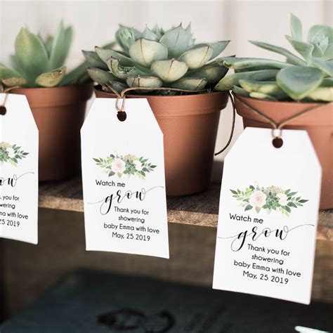 If you're creating your first baby registry or looking for baby shower gifts, you might be shocked by just how much there is to choose from. Watch me grow tags succulent tags baby shower favor tags | Etsy in 2020 | Bridal shower games ...