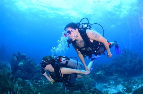 The Best Diving In Cancun