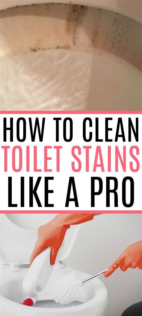 Kill 99.9% of germs, then toss the disposable head and germs with it! How To Clean Toilet Stains Like A Pro | Toilet stains ...
