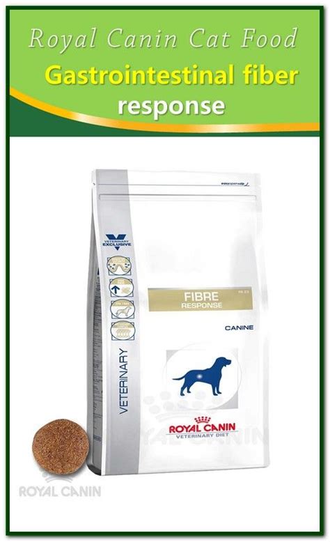 Maybe you would like to learn more about one of these? Royal Canin Cat Food Gastrointestinal Fiber Response | Cat ...