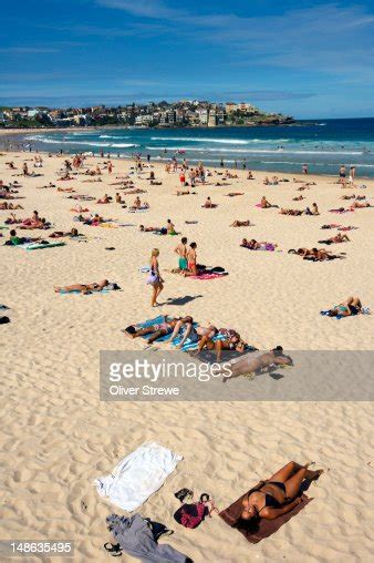 Sunbathers On Bondi Beach High Res Stock Photo Getty Images