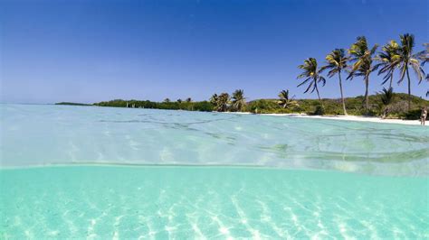 In Search Of Paradise The Caribbean Islands With The Clearest Water