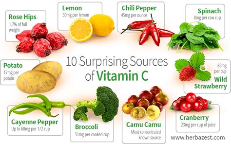 10 Surprising Sources Of Vitamin C Herbazest