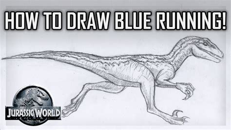 Tutorial How To Draw Blue The Velociraptor Running Jurassic World
