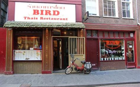 thai restaurant bird zeedijk amsterdam bird amsterdam