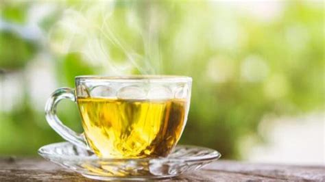 yeşil çayın faydaları ve zararları nelerdir günde kaç bardak yeşil çay içilmeli