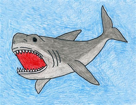 How To Draw A Shark Cartoon Attentionoperation