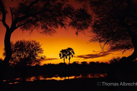 Sunset Foto And Bild Africa Southern Africa Namibia Bilder Auf