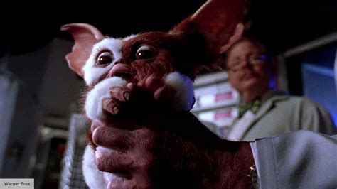 Gremlins 3 Release Date Speculation Cast Plot And More News