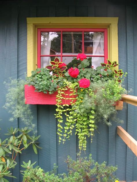 Sweet Colorful Windowbox Window Box Plants Window Planter Boxes