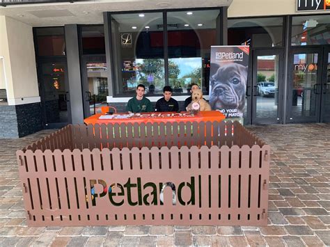 Petland Florida Brings Puppies to the Movies - Petland Florida
