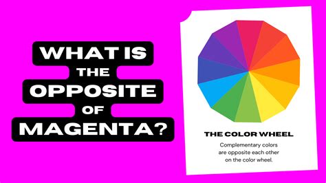 What Is The Opposite Of Magenta Complementary Color Color Meanings