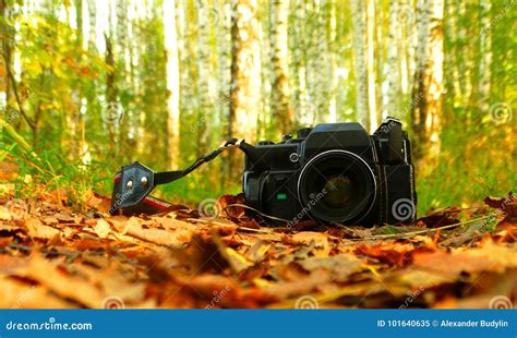 The Old Camera In The Woods Stock Image Image Of Leaves Retro 101640635