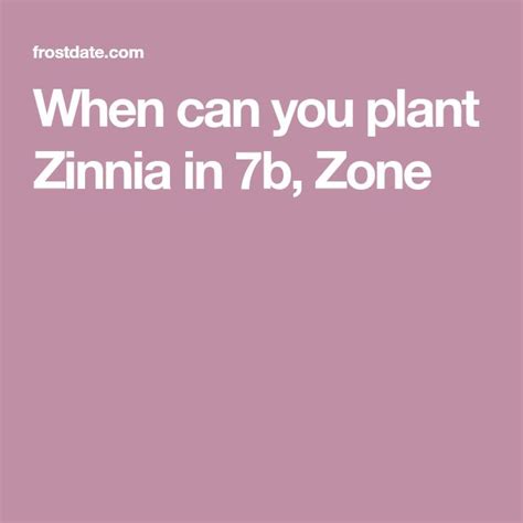 When Can You Plant Zinnia In B Zone Zinnias Zone Planting Calendar