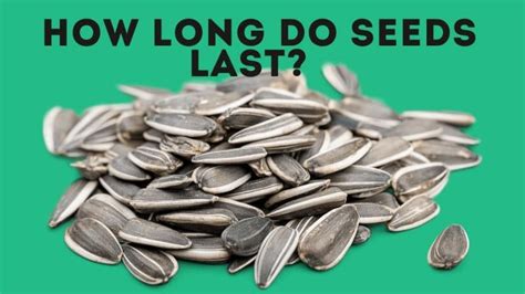How Long Do Seeds Last Free Viability Chart