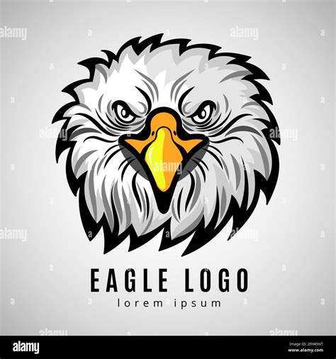 American Eagle Head Logo Or Bald Eagles Vector Label Hawk Badge Emblem