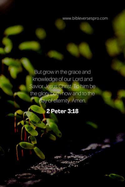 17 Bible Verses About Growing Spiritually