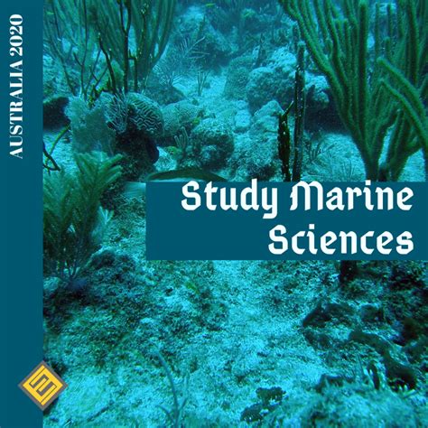 Best Universities For Marine Biology Uk Infolearners