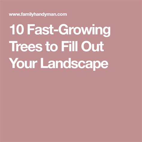 10 Fast Growing Trees To Fill Out Your Landscape Fast Growing Trees Growing Tree Fast