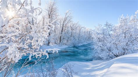 River Between Frost Trees Forest With Sunbeam Hd Winter Wallpapers Hd