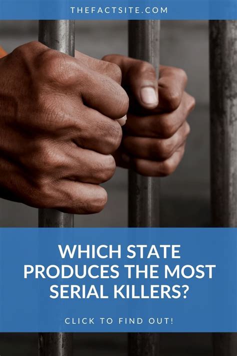 Which State Produces The Most Serial Killers The Fact Site