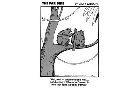 Proof That The Far Side Is The Greatest Sunday Funny Of All Time