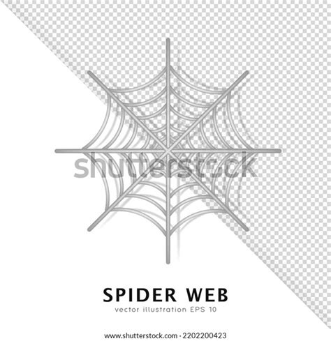 3d Spider Web On White Background Over 609 Royalty Free Licensable