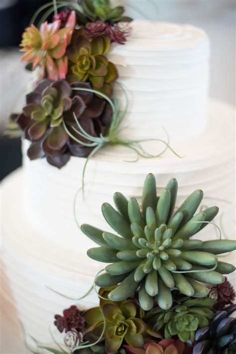 Succulent Wedding Cake Succulent Wedding Succulent Wedding Cakes