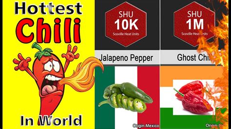 And while you can certainly whip up a spicy concoction in your own kitchen, the ultimate eats for true heat seekers are sprinkled around the world. Comparison : Hottest Chili in the World | सबसे तीखी मिर्ची ...