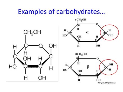 Complex Carbohydrates Diagram