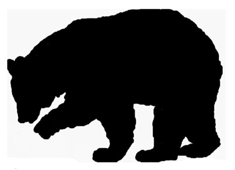 Bear Silhouette We Bear Bear