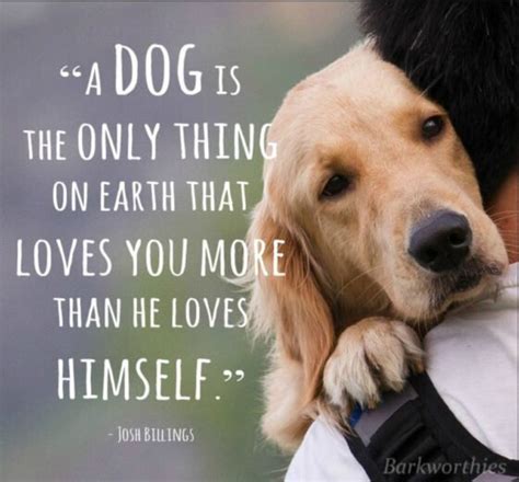 15 Inspirational Dog Quotes About Life And Love
