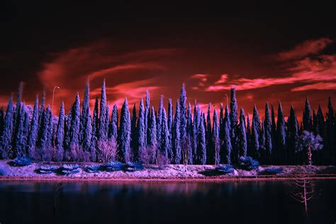 Beginners Guide To Infrared Photography In 2023