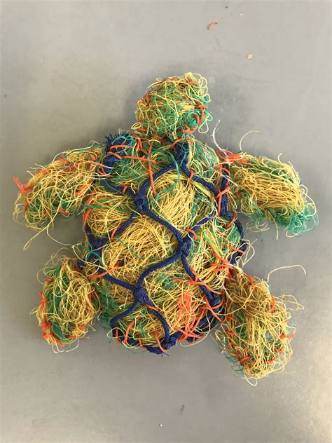 Pin By Cecelia Wright On Ghost Net Weaving Sea Turtles