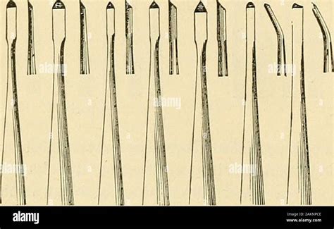 Los Principios Y La Práctica De La Operatoria Dental Diagrama