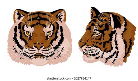 Tiger Head Profile Hand Drawn Vector Stock Vector Royalty Free