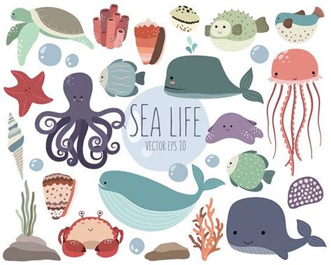 Sea Life Clipart 25 Lindos Animales Del Océano Clip Art Set Etsy