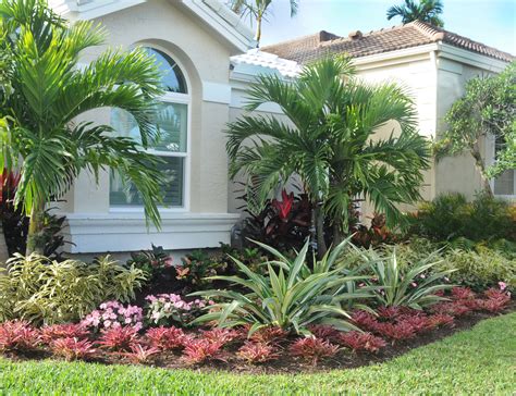 Palms And Tropical Color Form This Landscape In The Ballenisles