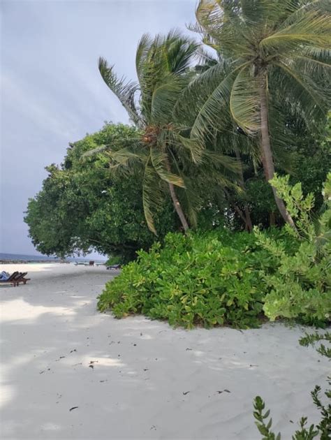 Welcome To Paradise Royal Island Eydhafushi • Holidaycheck Baa Atoll Malediven