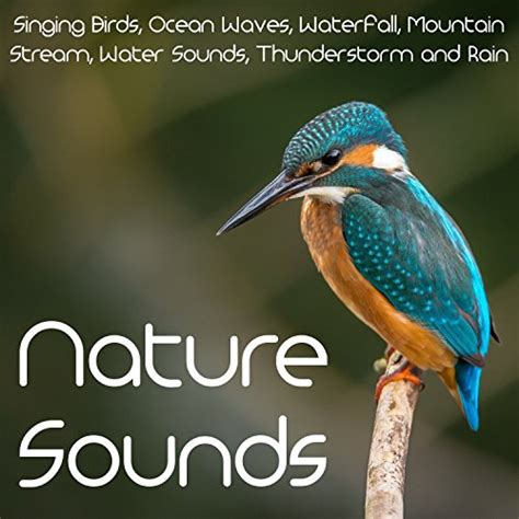 Nature Sounds Singing Birds Ocean Waves Waterfall Mountain Stream