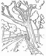 Road Coloring Arbor Trees Along Printable Getcolorings Place sketch template