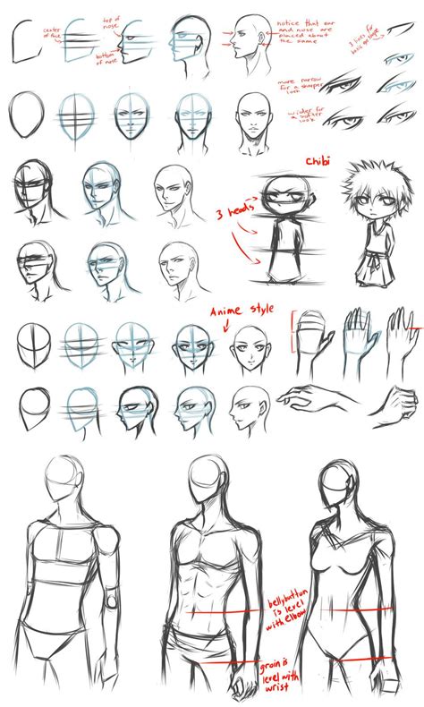 Face proportions| generally, in most anime that people are commonly interested in, is the style that have the step 4. Easy Step-by-Step Doodle Tutorials + Tips - Daily Art