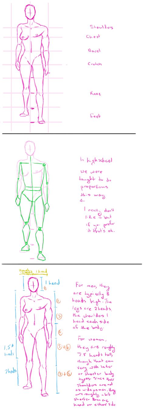 Body Proportions Tutorial By Wiing It On Deviantart